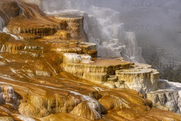 Canary Spring Sinter Pool