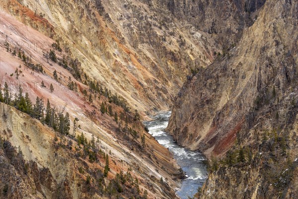 Grand Canyon of Yellowstone from Grand View