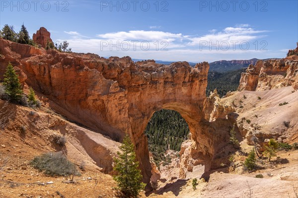 Rock arch at Natural Bridge viewpoint