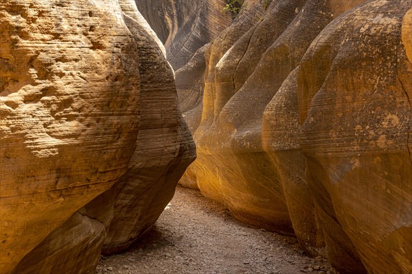 Willis Creek Slot Canyon