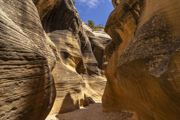 Willis Creek Slot Canyon