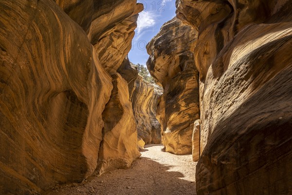 Willis Creek Slot Canyon