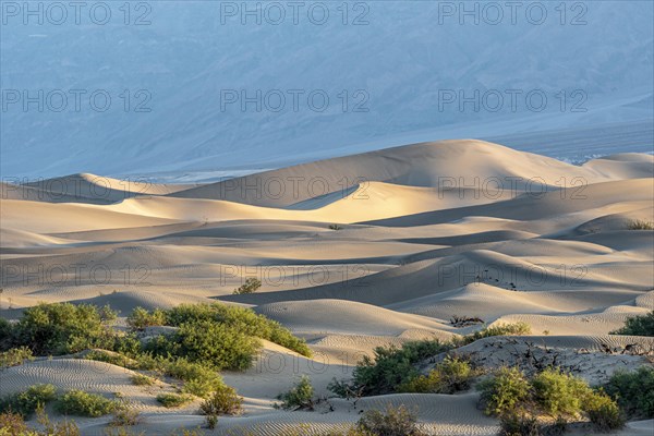 Mesquite Flat Sand Dunes at sunrise
