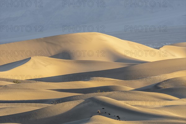 Mesquite Flat Sand Dunes at sunrise