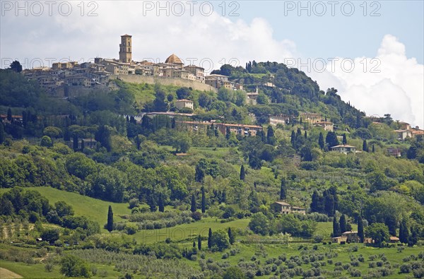 City View Volterra