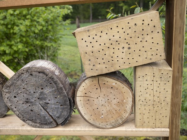 Tree discs with holes are excellent breeding tubes for wild bees