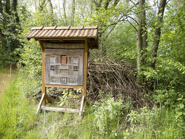 Wild bee hotel at the edge of the forest