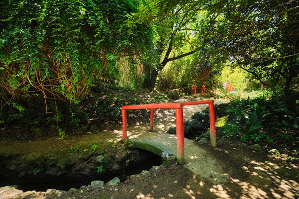 Red Chinese style bridge with wooden railings in lush greenery of asian part of tropical botanical garden in Lisbon
