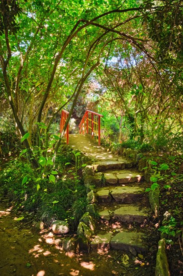 Red Chinese style bridge with wooden railings in lush greenery of asian part of tropical botanical garden in Lisbon