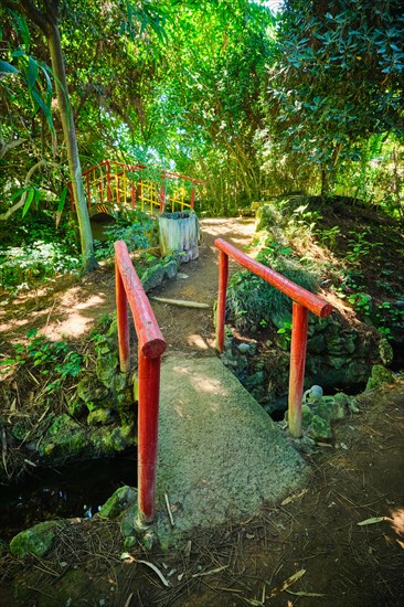 Red Chinese style bridge with wooden railings in lush greenery of asian part of tropical botanical garden in Lisbon