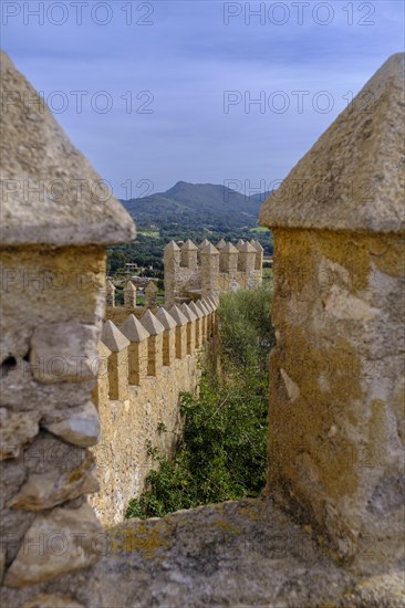 View from the Santuari de Sant Salvador Fortress