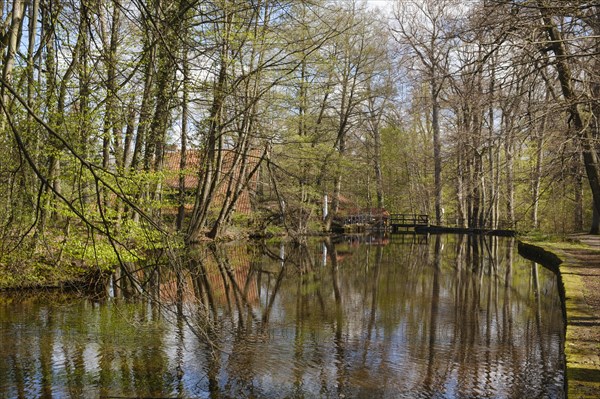 Nagelhüttenteich