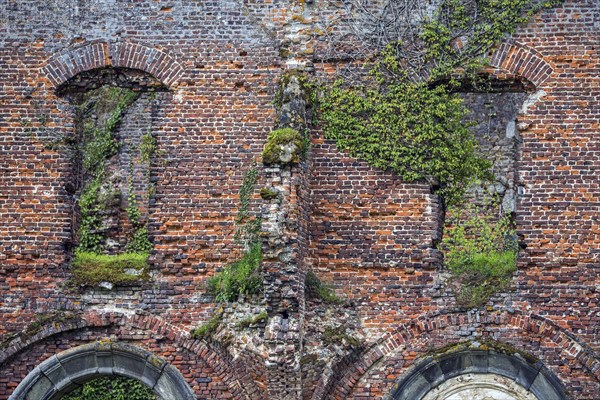 Ruin of the former abbey of Aulne