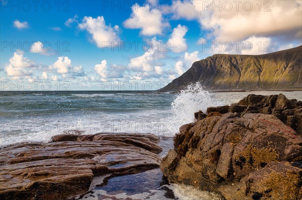 Fjord landscape in summer