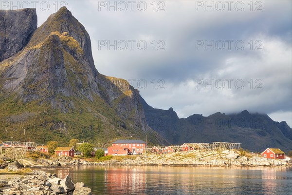 Drying racks for fish and traditional red rorbuer huts in the fishing village of Reine