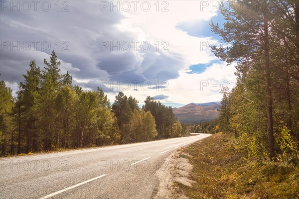 Road in Rondane National Park