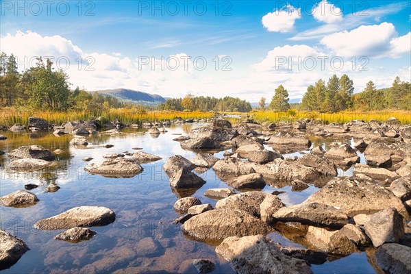 River Landscape in Rondane National Park