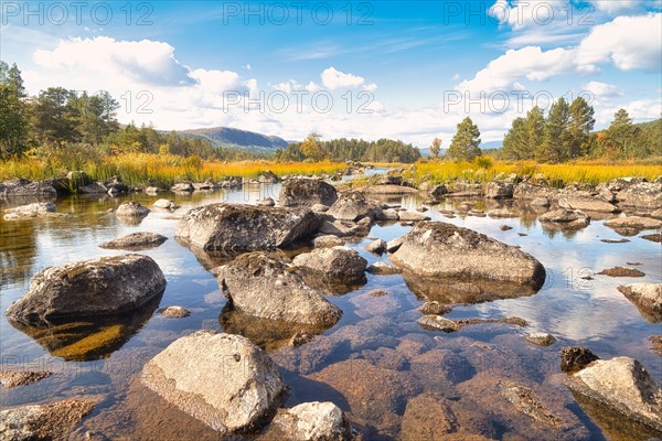 River Landscape in Rondane National Park