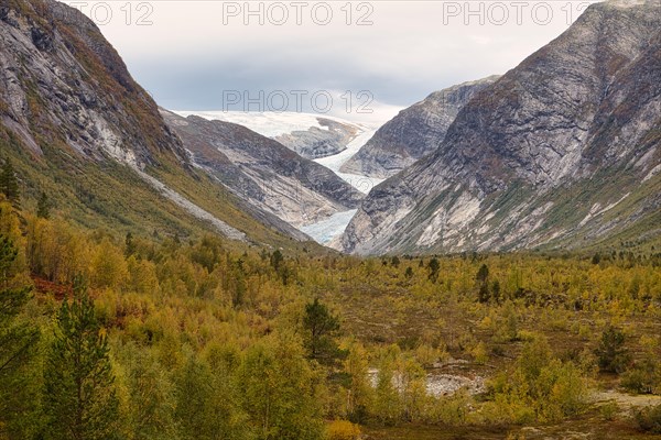 Nigardsbreen Glacier