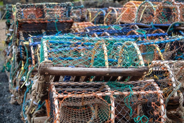 Lobster baskets in the harbour of Seahouses