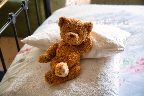 Teddy Bear in B & B