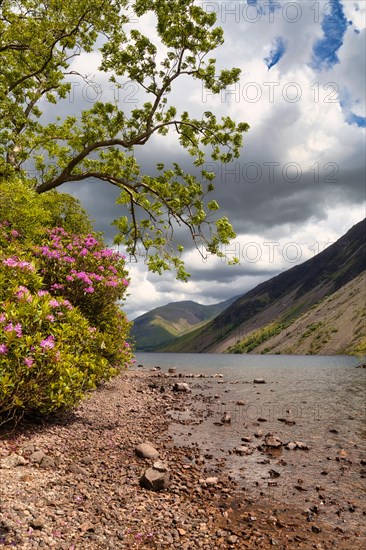 Wastwater