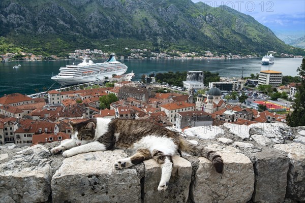 View over the roofs of the old town