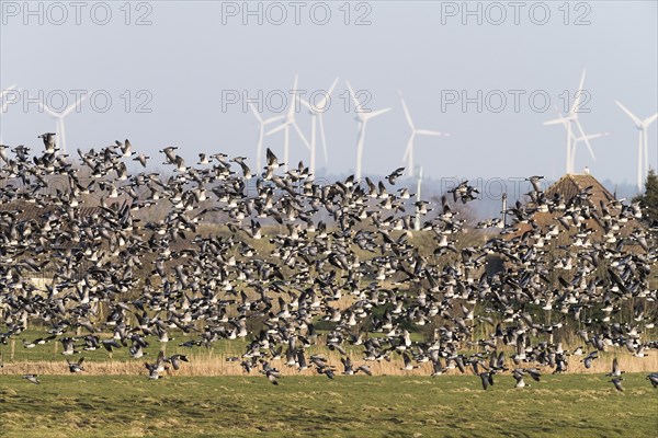 Wind turbines