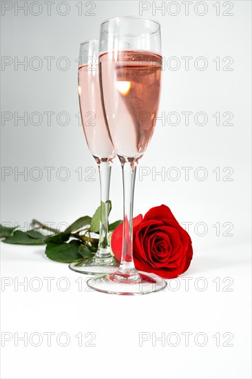 Two glasses of champagne and a rose on a white background and copy space valentine's day symbol