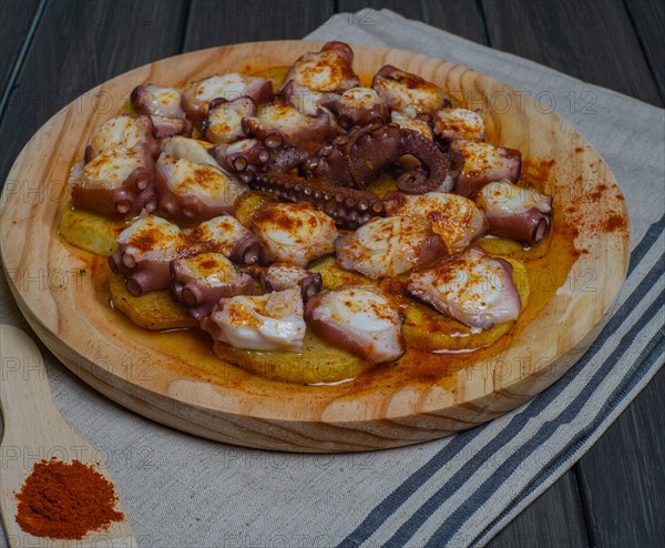 Galician octopus typical food from the north of Spain with sweet paprika salt and Andalusian olive oil exquisite tapa