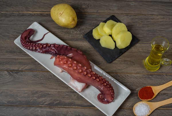 Galician octopus typical food from the north of Spain with sweet paprika salt and Andalusian olive oil exquisite tapa