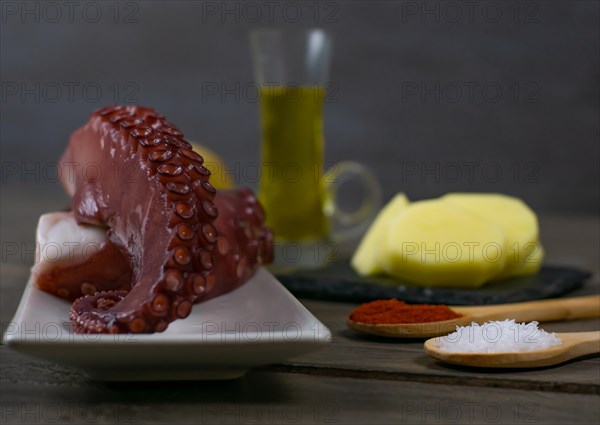 Galician octopus typical food from the north of Spain with sweet paprika salt and Andalusian olive oil exquisite tapa