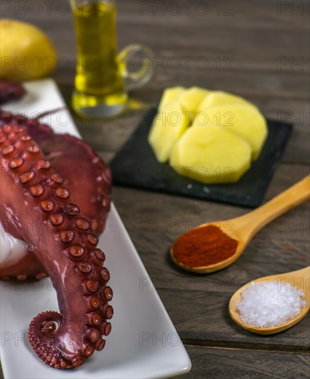 Galician octopus typical food from the north of Spain with sweet paprika salt and Andalusian olive oil exquisite tapa