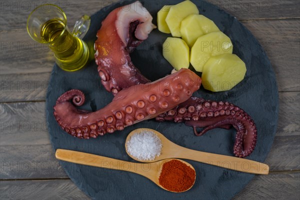 Galician octopus typical food from the north of Spain with sweet paprika salt and Andalusian olive oil exquisite tapa