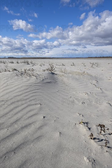 Sand dunes