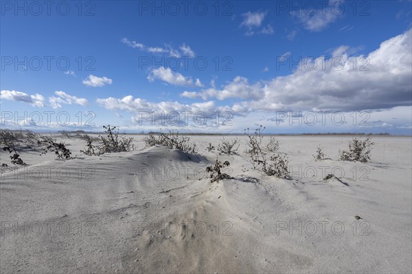 Sand dunes