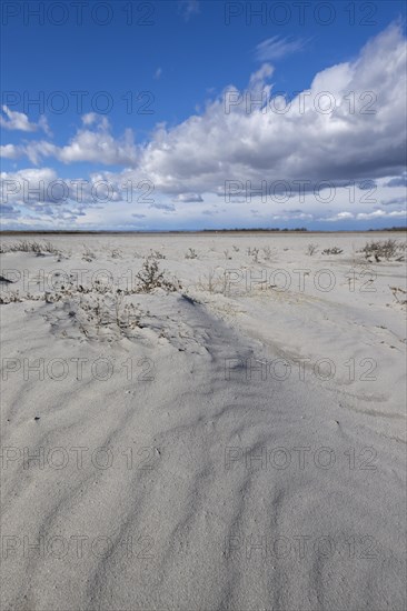 Sand dunes