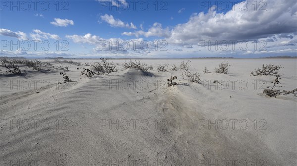 Sand dunes