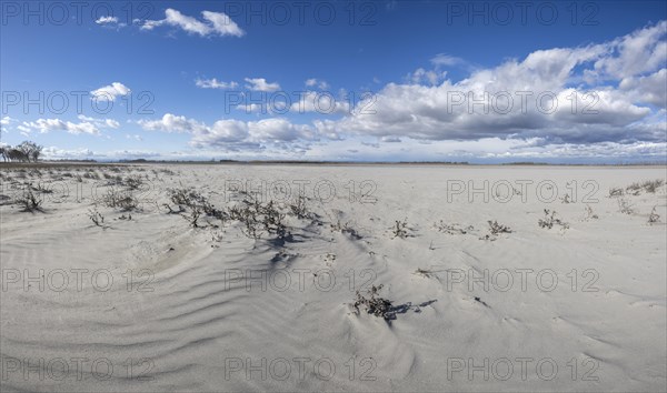 Sand dunes