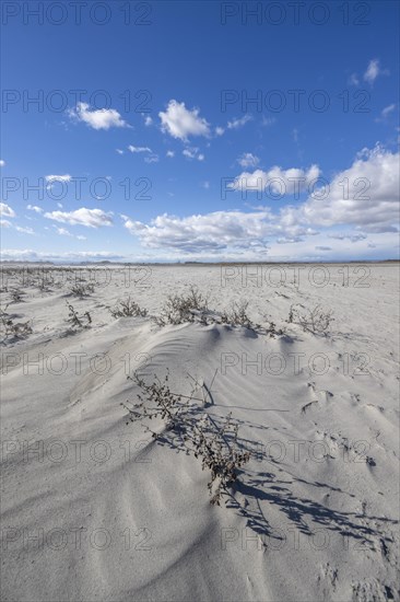 Sand dunes