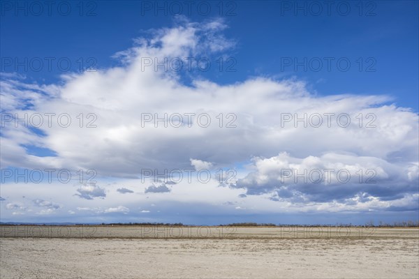 Heavily dried-up Zicksee