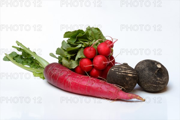 Radish