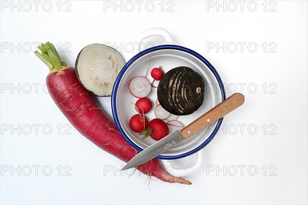 Red and black radish