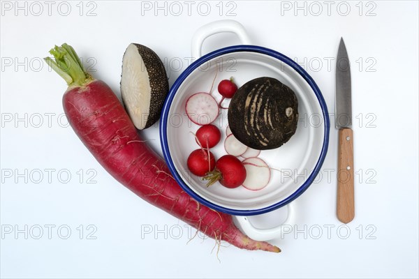 Red and black radish