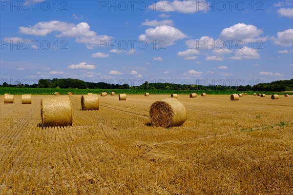 Stubble field with straw bales
