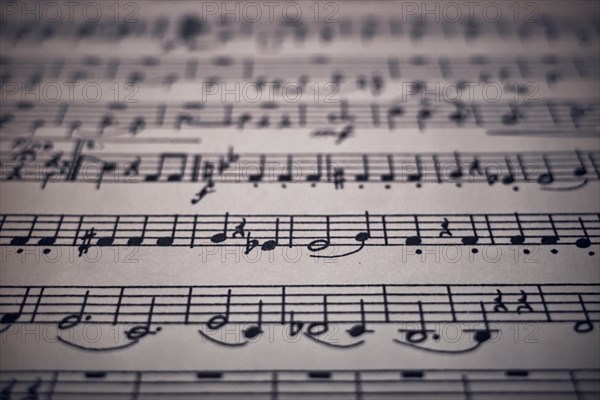 Music notes