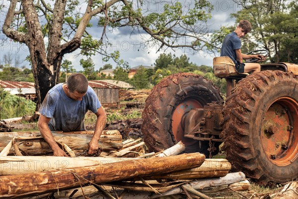Father and son working in a sawmill