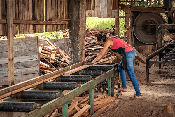 Portrait of middle-aged woman in apron working with a machine in a sawmill