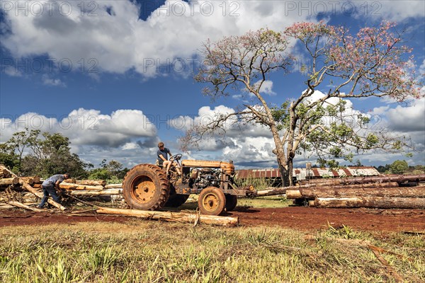 Father and son are working at a sawmill