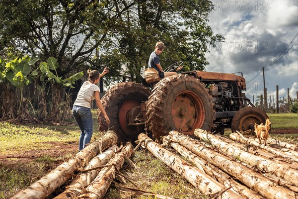 A family working in the fields